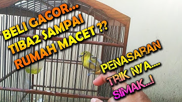 Bongkar rahasia mengatasi sirtu macet sampai rumah ini solusinya