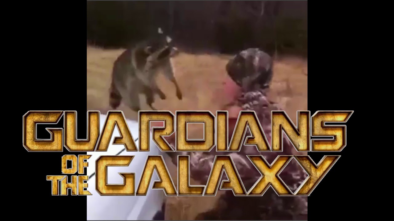 Raccon Meme For Friends Youtube