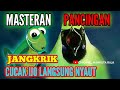 Suara Terapy Cucak Ijo Paling Efektif Buktikan Cocok Buat Masteran Mp3 - Mp4 Download