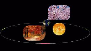Seasons of the year | What Causes Seasons  | Seasons on Earth | How Seasons change on Earth