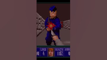 When you run out ammo in Wolfenstein 3d #wolf3d #wolfenstein