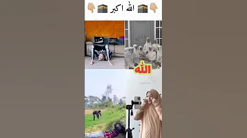 حسبي ربي جل الله مافى فى قلبي غير الله اكتب يا الله لايك واشتراك قرآن كريم قرآن اكسبلور 