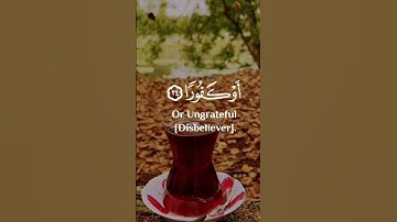 راحة النفسية ⚘️تلاوة مؤثرة بصوت جميل جدا حالات واتس أب  قرآن كريم 🥀