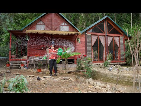 Young chef Trinh Ho helps a poor, single elderly woman who has no one to rely on.