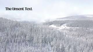 The Unsent Text