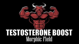 HUGE TESTOSTERONE BOOST - MORPHIC FIELD