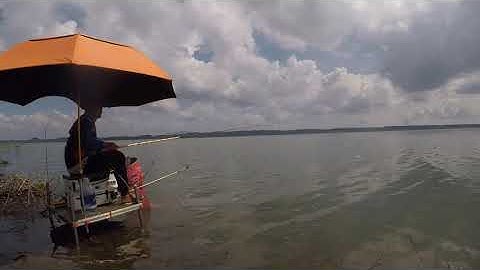 Câu cá...... Trải nghiệm đập thiên nhiên Sông Ray- Bà Rịa , Trải nghiệm dòng cần E- Long đẳng cấp .