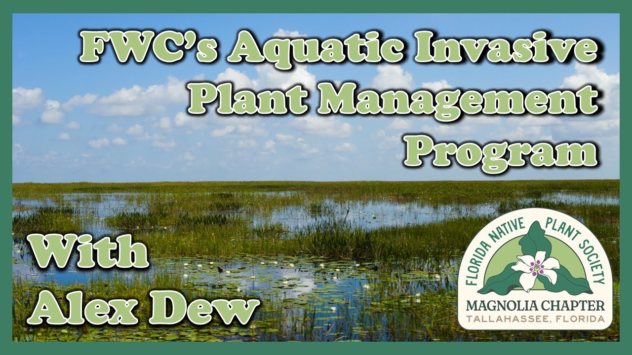 FNPS Magnolia Chapter - January 2026 Meeting: Alex Dew