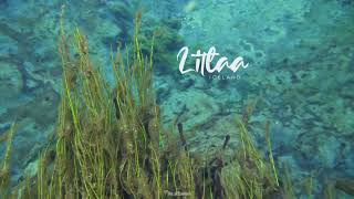 Diving in Iceland - Litlaá River