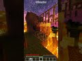 Never Kill my Dog. #shorts #minecraft