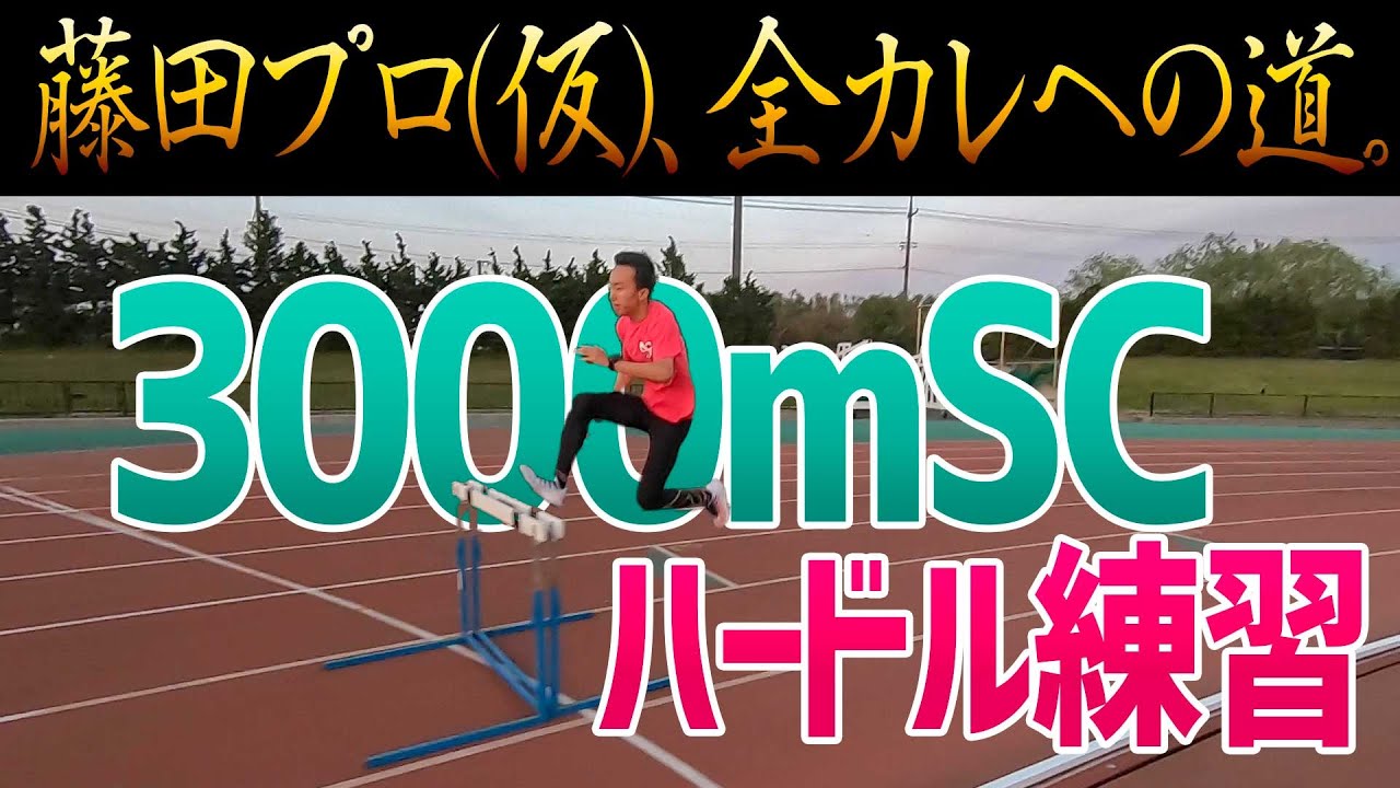 新作人気 手作り 3000mscのハードル 陸上競技 Www Ingenierowhite Com