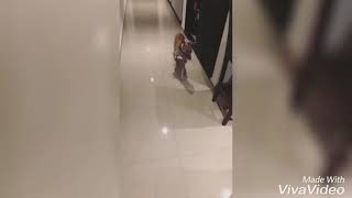 Yosstop Micrófono Y Preparandose