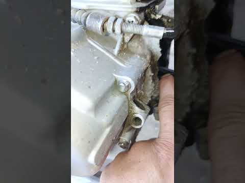 قرصان اكسبلور  قرصان اكسبلور