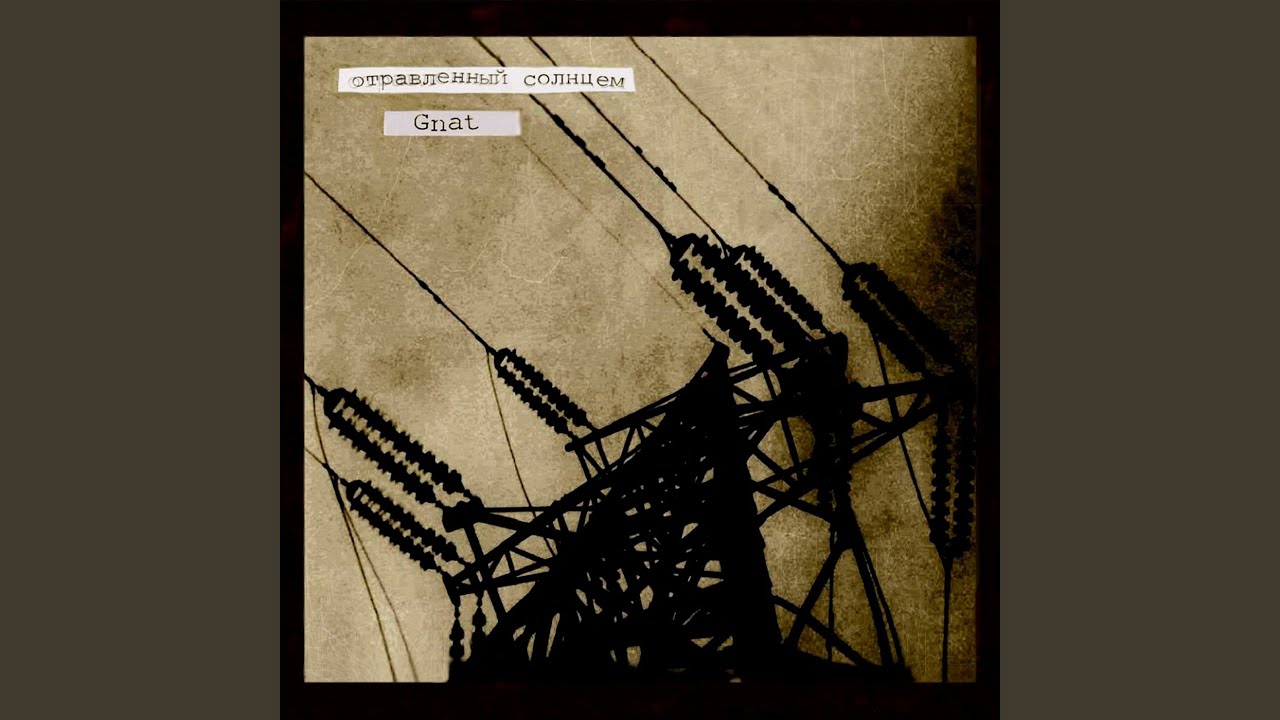 Где правда?