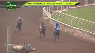 Hipódromo de Monterrico - 7ma Carrera 05JUNIO21