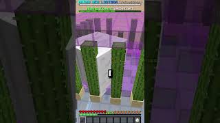how i became the RICHEST ISLAND EVER on the BIGGEST MINECRAFT SKYBLOCK SERVER...