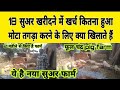 18 suar palan me पैसा खर्च कितना हुआ | Fool chandra pig farming | सुअर को मोटा तगड़ा कैसे करें ?