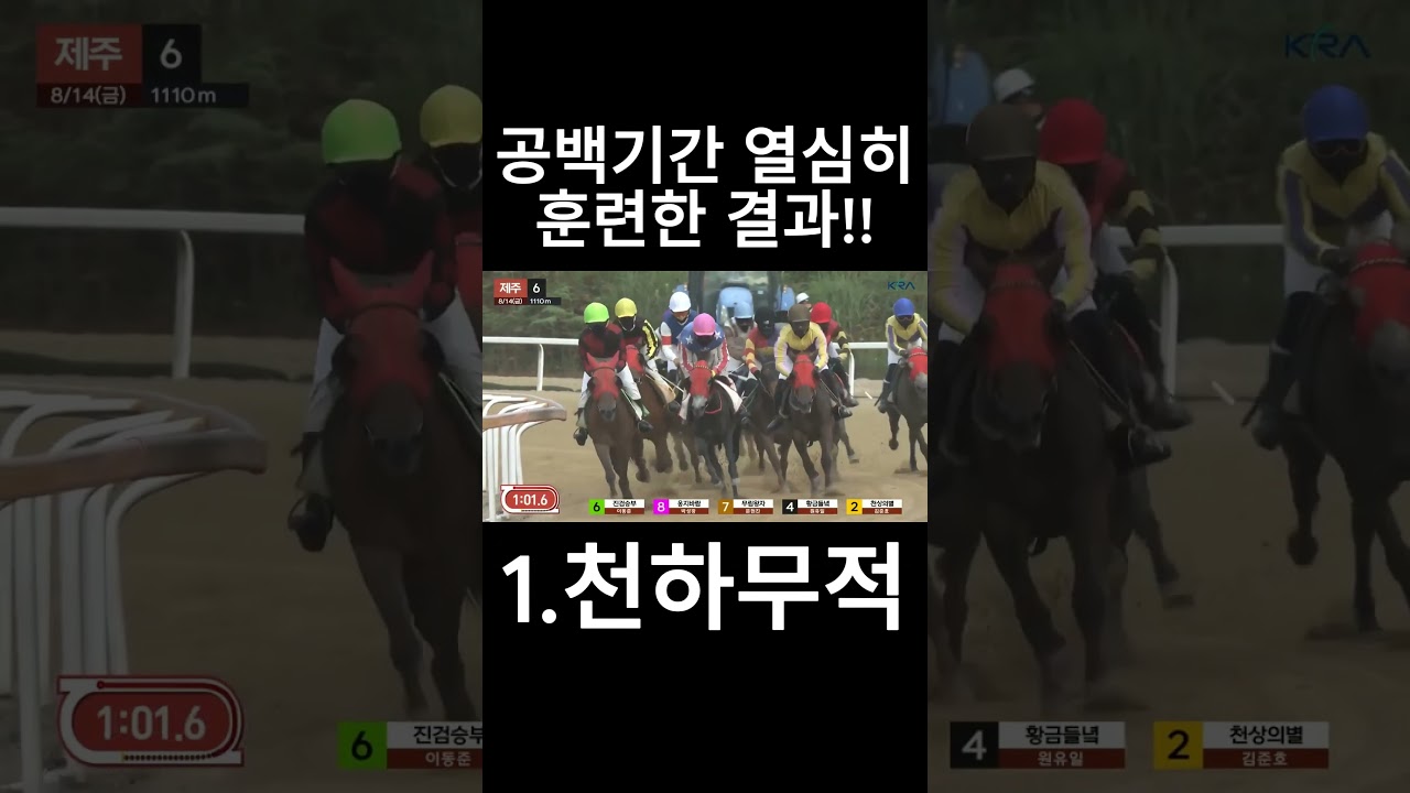 공백기간 열심히 훈련한 결과!!  #경마  #경마예상  #경마방송  #경마예상방송  #서울경마  #금요경마  #토요경마  #일요경마 #경마장