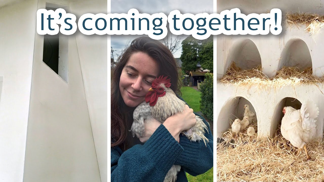 Top Floor Plastering Reveal + Planning What’s Next | Renovation Update