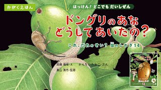 【科学絵本】はっけん！ どこでも だいしぜん『ドングリのあな　どうしてあいたの？』紹介動画