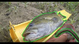 Wacky Rigging Great Miami Smallmouth