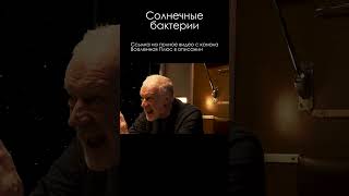 Константин Северинов \ Бактерии в Солнце #сурдин #семихатов #биология #shorts