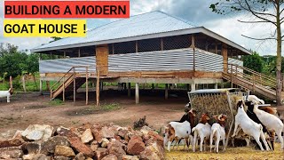 How To Construct  A Modern GOAT House And The COST| Simple And Easy !