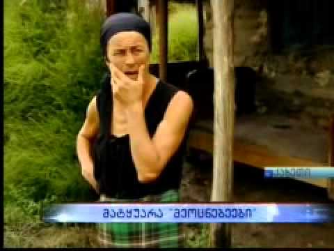 მატყუარა „მეოცნებეები\"