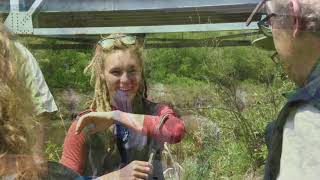 Caring for our Watersheds~Legacy Story