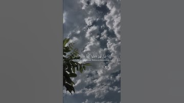 تلاوة هادئة 💗 #الصلاة_على_النبي #تلاوه #راحة_نفسية #تلاوات #قران #تلاوة_خاشعة