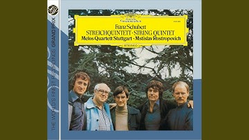 Schubert: String Quintet in C Major, D. 956: I. Allegro ma non troppo