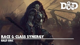 D&D 5e Race & Class Synergy | Half Orc