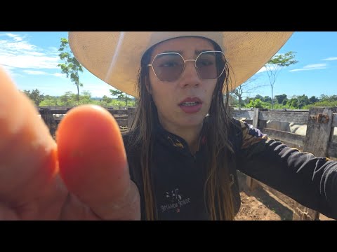 PENSA NUM DIA DIFÍCIL NA LIDA! Foi luta grande