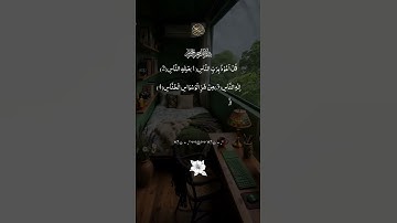القرآن الكريم راحة نفسية ✨️🎧🤍 #اللهم_صل_وسلم_على_نبينا_محمد