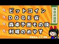 ビットコイン・DOGE省ってなに・追加予言の話。2024年11月28日