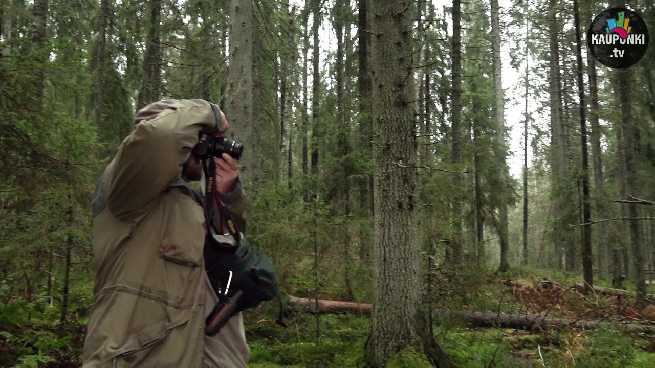 Ammattiesittelyssä luontokartoittaja