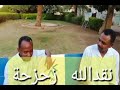 زحزحه ونقد الله أولاد ميكي 