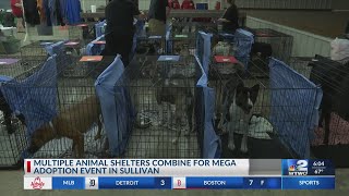 Southwest Indiana Mega Adoption Event finds homes for local shelter animals