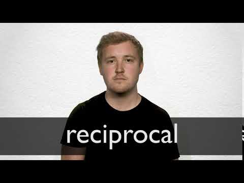 Reciprocal Meaning In Maths