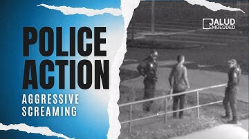 Sound Event Detector | Real case | SED alerted to aggressive shouting of a man in the city streets