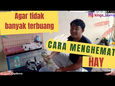 Video: Kartu cashback Tinkoff: ulasan, syarat dan ketentuan