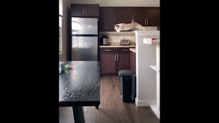 What are you doing?