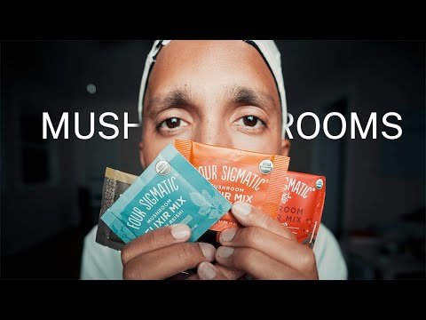 Four Sigmatic | Why The Medicinal Mushroom Movement Is Blowing Up