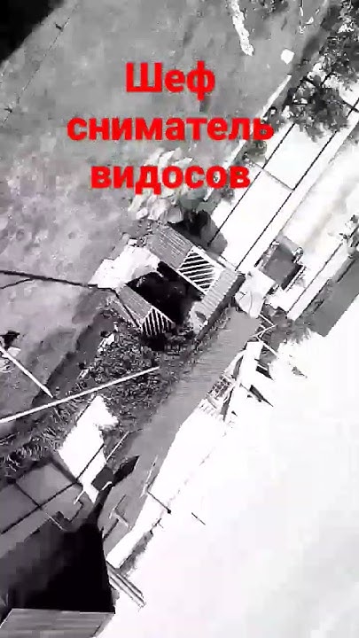 хэлоу мир - YouTube