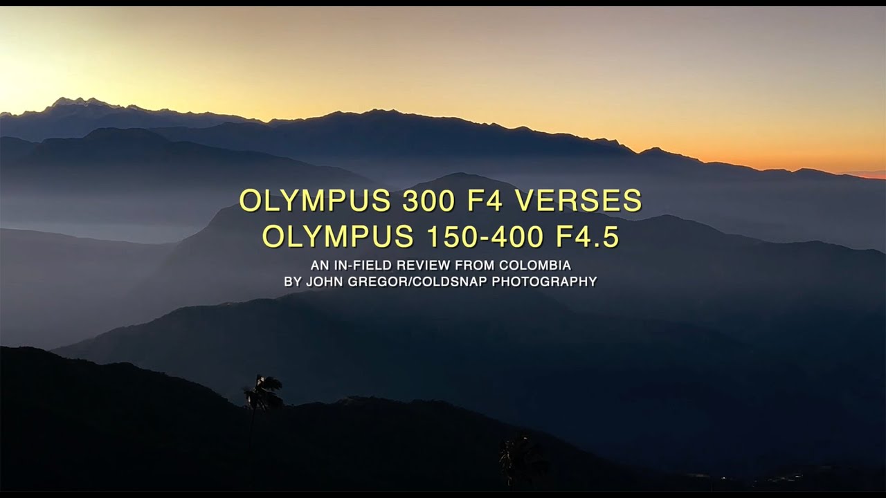 Olympus 300 f4 Versus Olympus 150 400 f45