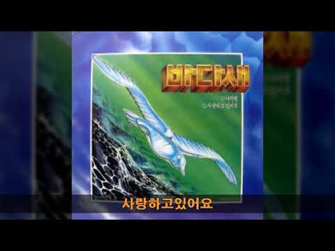 바다새 '87 A02 사랑하고있어요