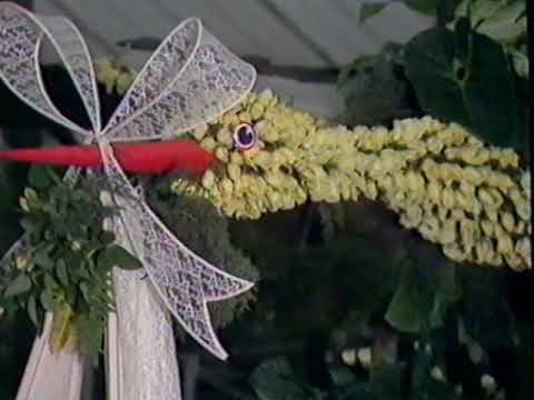 RHS Chelsea Flower Show | 1985 | Full Episode | BBC - YouTube