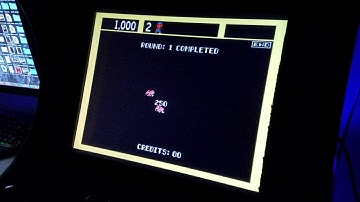 Zookeeper Arcade Game sample