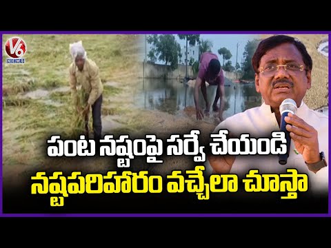 Minister Vivek Venkataswamy Orders Officials To Hold Survey On Crop Damage | V6 News - V6NEWSTELUGU