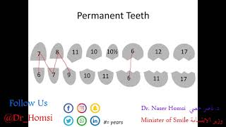 محاضرة عن مراحل تطور بزوغ الاسنان